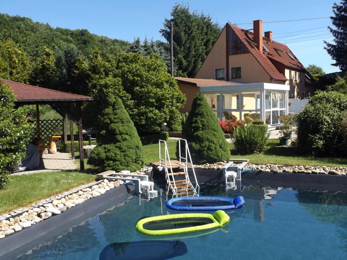 Cosy Apartment With In Pirna With Private Terrace Rum bild