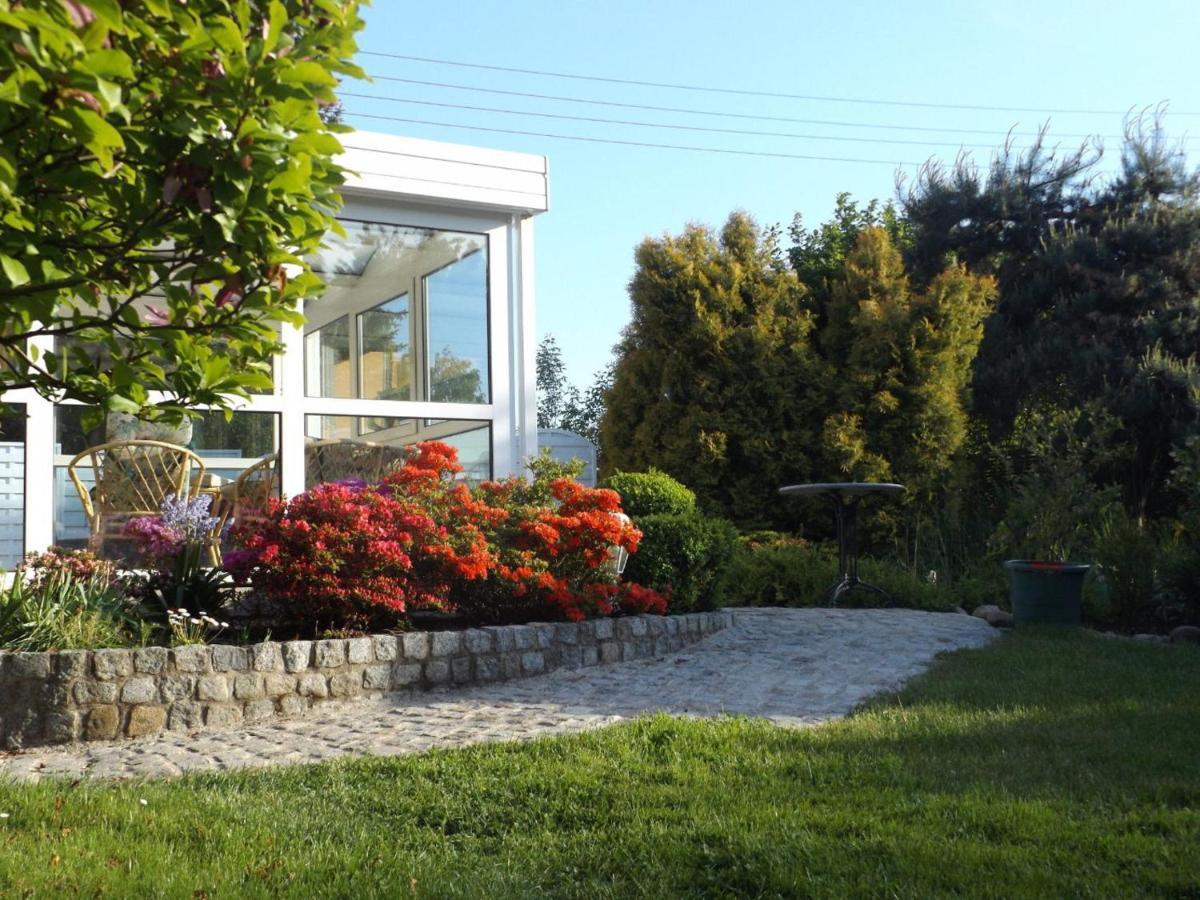 Cosy Apartment With In Pirna With Private Terrace Rum bild